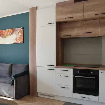 Apartment Sosnowiec City - Free Parking - Easy Check-In Kültér fotó